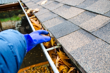 Gutter Services